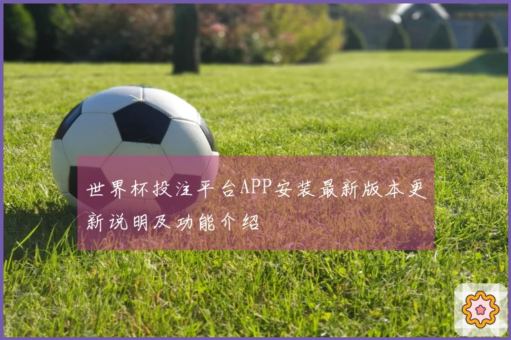 世界杯投注平台APP安装最新版本更新说明及功能介绍