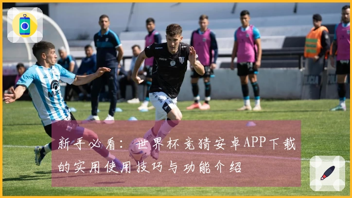 新手必看：世界杯竞猜安卓APP下载的实用使用技巧与功能介绍