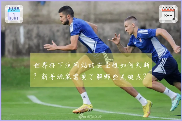 世界杯下注网站的安全性如何判断?新手玩家需要了解哪些关键点?