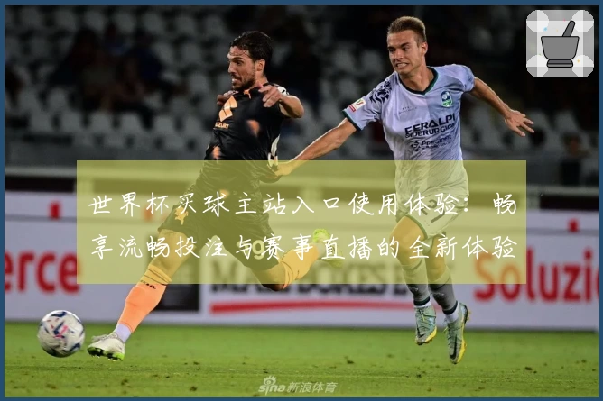 世界杯买球主站入口使用体验：畅享流畅投注与赛事直播的全新体验