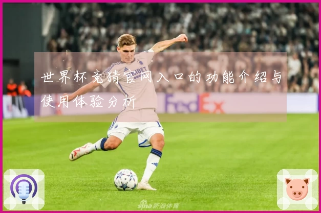 世界杯竞猜官网入口的功能介绍与使用体验分析