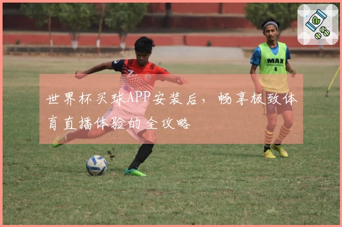 世界杯买球APP安装后,畅享极致体育直播体验的全攻略