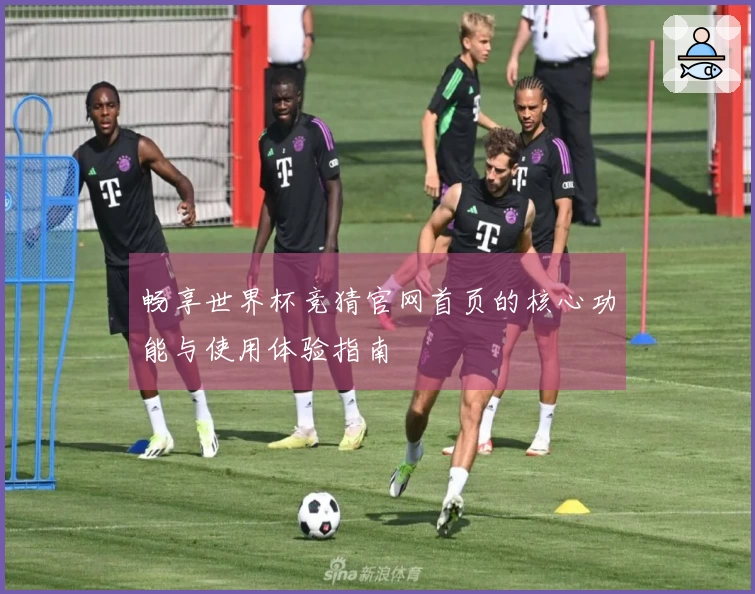 畅享世界杯竞猜官网首页的核心功能与使用体验指南