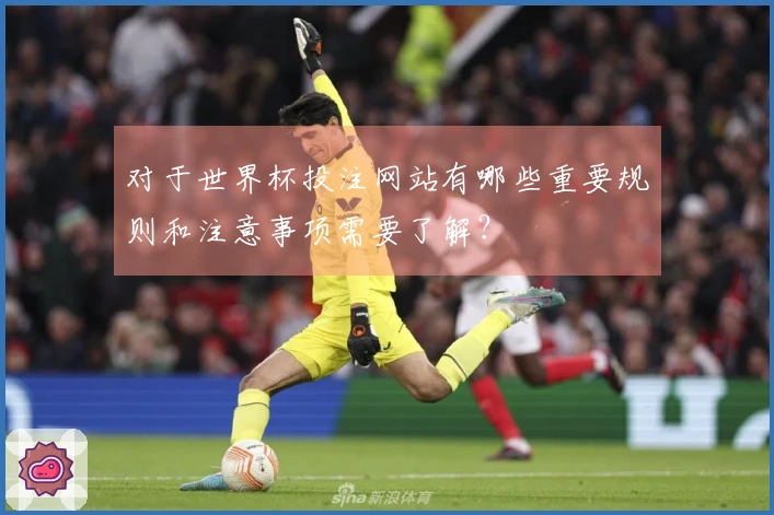 对于世界杯投注网站有哪些重要规则和注意事项需要了解？