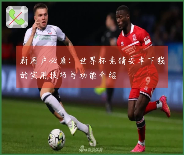 新用户必看：世界杯竞猜安卓下载的实用技巧与功能介绍
