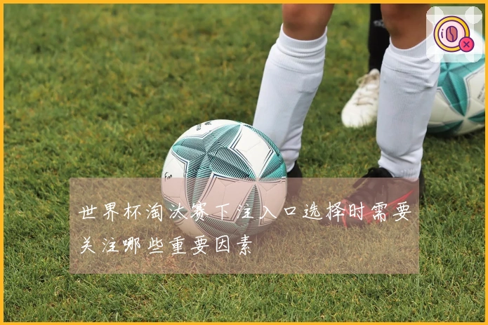 世界杯淘汰赛下注入口选择时需要关注哪些重要因素