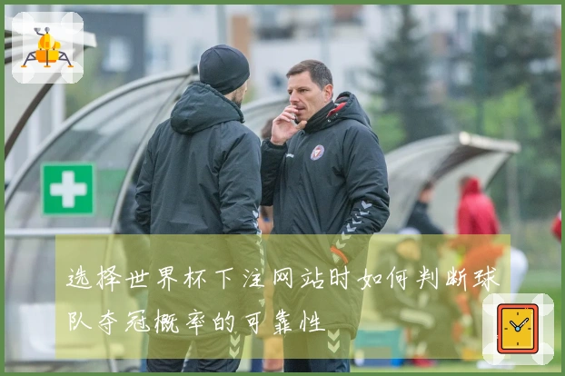 选择世界杯下注网站时如何判断球队夺冠概率的可靠性
