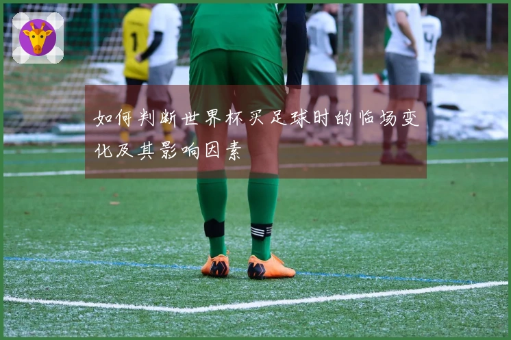 如何判断世界杯买足球时的临场变化及其影响因素