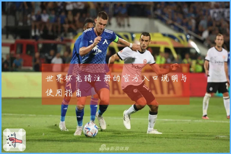 世界杯竞猜注册的官方入口说明与使用指南