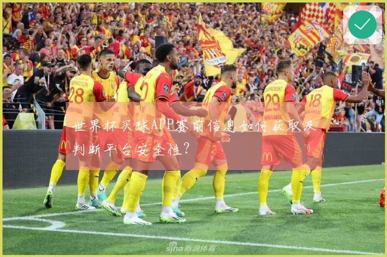 世界杯买球APP赛前信息如何获取及判断平台安全性？