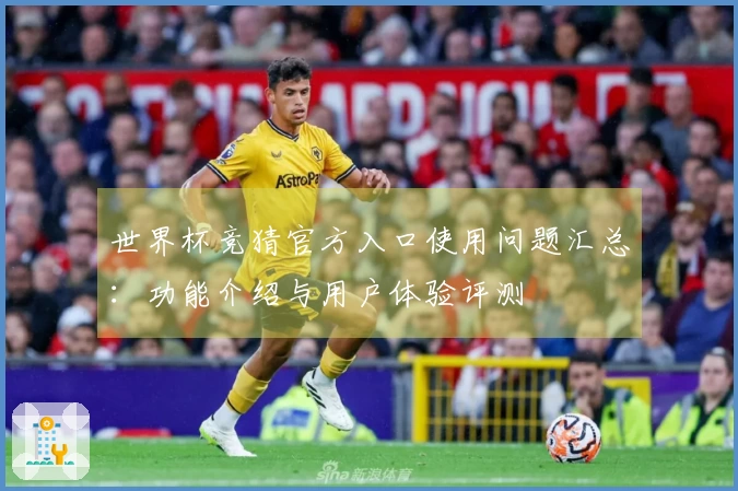 世界杯竞猜官方入口使用问题汇总：功能介绍与用户体验评测