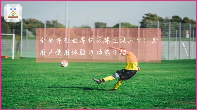 全面评测世界杯买球主站入口:新用户使用体验与功能介绍