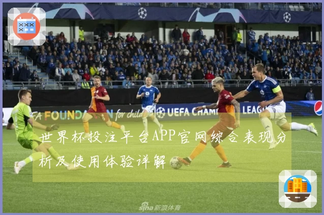 世界杯投注平台APP官网综合表现分析及使用体验详解