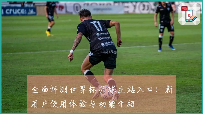 全面评测世界杯买球主站入口：新用户使用体验与功能介绍